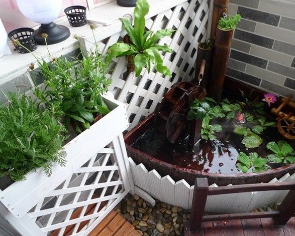 阳台似花园,这里是一个缩略版的荷花池