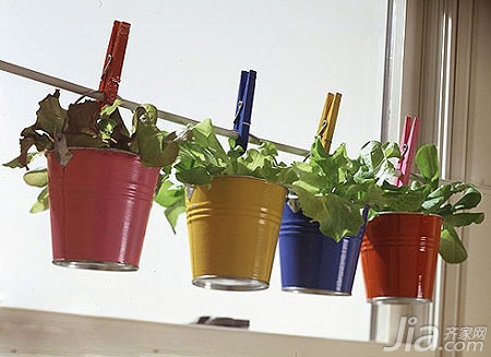 绿植可以无处不在 11个室内创意小盆栽