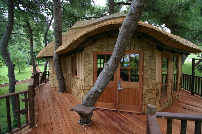 大森林里的小木屋