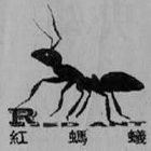 苏州红蚂蚁装饰设计工程有限公司