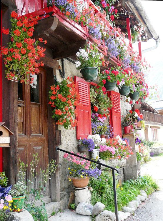 ,田园风格,庭院,唯美