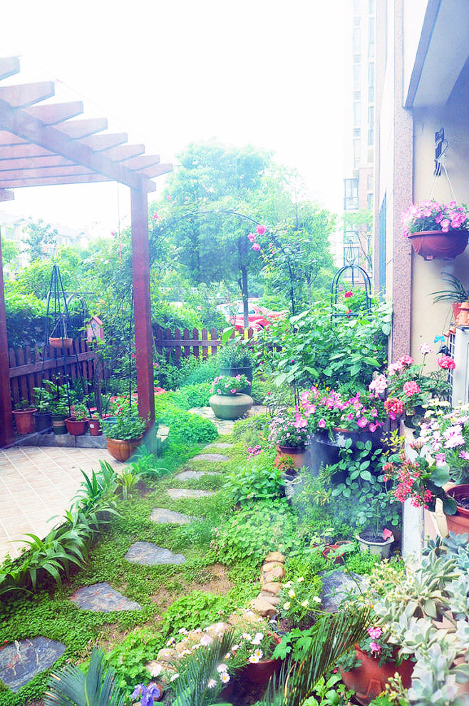 ,花园,庭院