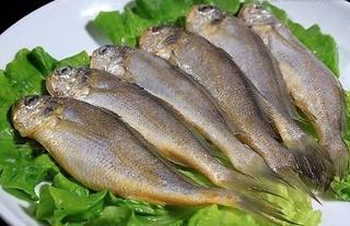 小黄鱼