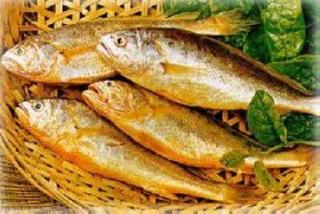 小黄鱼其它含义