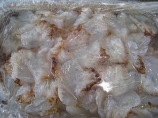 海蜇的食谱