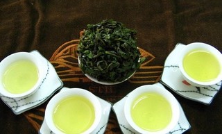 黑乌龙茶哪个牌子好
