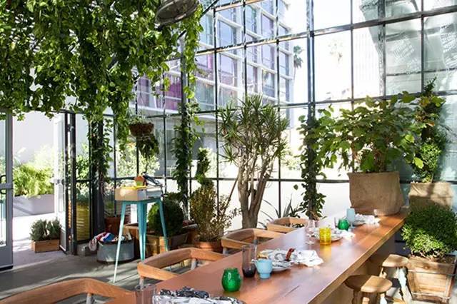 那装满各类植物的玻璃屋餐厅, 是不是既能迷倒植物控, 又能让吃货