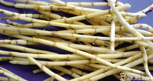 白茅根的食用方法 白茅根的功效与作用