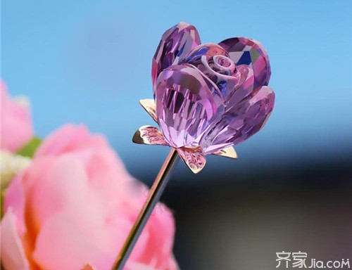 水晶玫瑰花的做法介绍 为爱的人献上一朵!_百