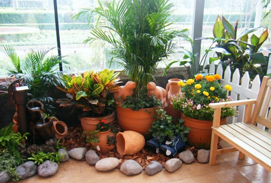 室内绿化植物有哪些 室内绿化植物需要注意什么