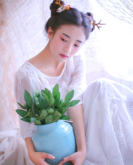 室内植物,小清新,绿色,