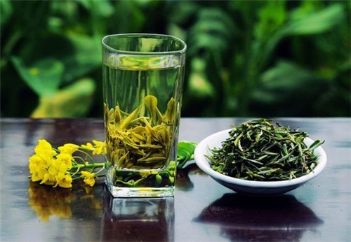 绿茶的功效与作用 孕妇可以喝绿茶吗_百科知识