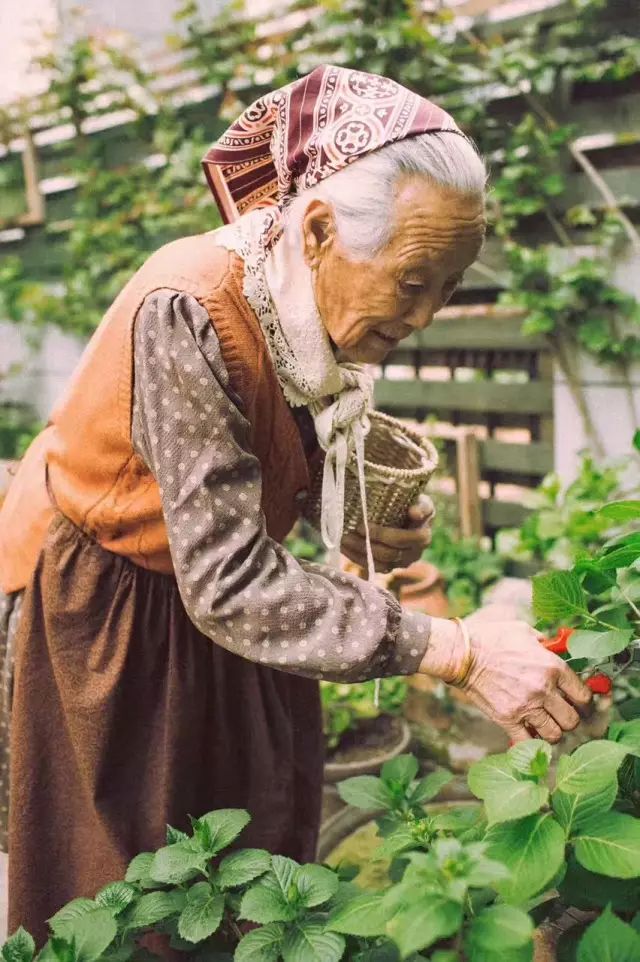 这是我见过最温柔的写真,有的说,甚至比国外的塔沙奶奶还要美.