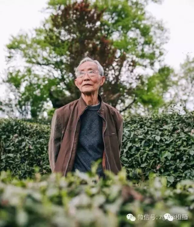 不想当房奴技术宅从杭州回到500岁的农村盖最美的家接客营生