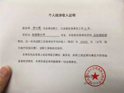 ，并办妥《个人收入证明》，经律师检查后，由律师出具《法律意见书》。