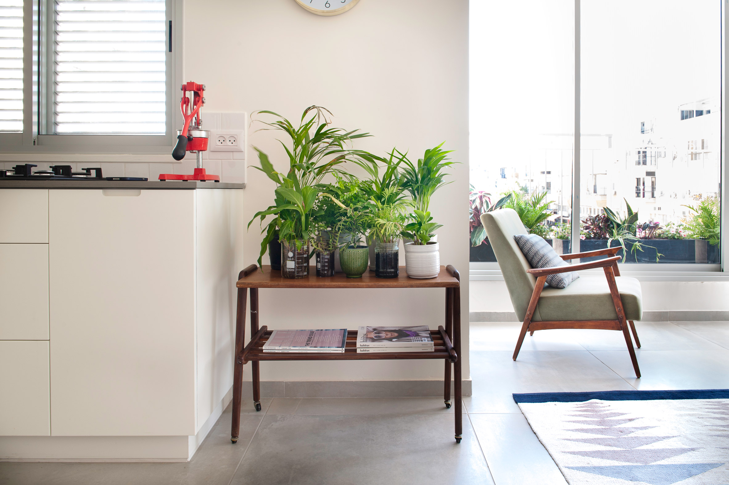 公寓装修,60平米装修,10-15万装修,简约风格,室内植物