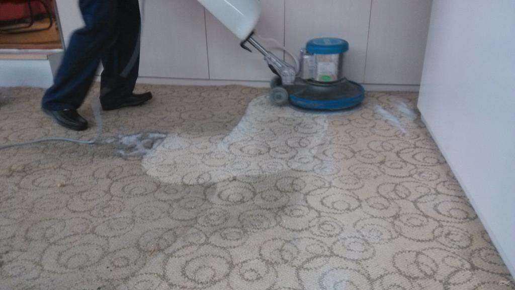地毯不同的污渍怎么处理