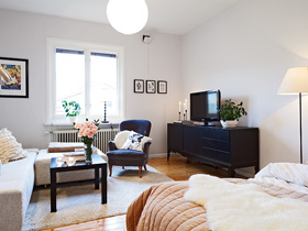 北欧风一居室 单身公寓别样设计