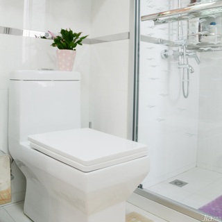 二居室时尚白色富裕型卫生间马桶图片