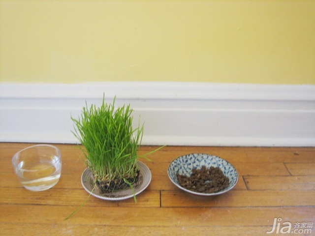 小户型装修,70平米装修,经济型装修,混搭风格,海外家居,绿植