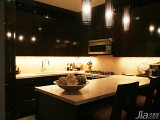 简约风格二居室简洁黑色富裕型厨房灯具海外家居