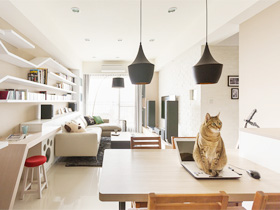 家有喵星人 超完美的现代温馨猫公寓