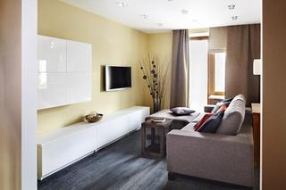 现代简约风格小户型舒适白色客厅电视背景墙设计