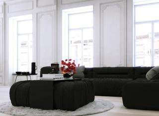 欧式风格公寓简洁黑白效果图