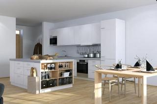 欧式风格公寓简洁黑白整体厨房装修
