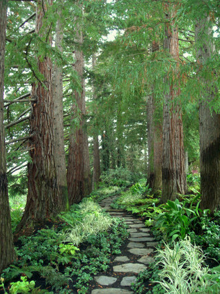 林中静谧所在 与周围环境融为一体的别墅庭院