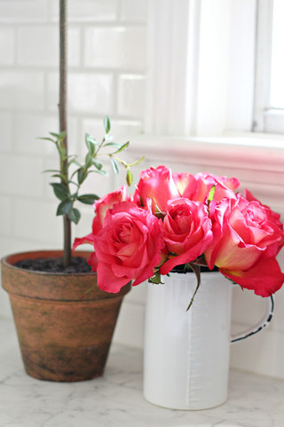 欧式田园风格浪漫卧室白色厨房室内植物图片