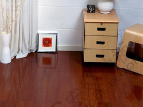 铁苏木实木地板 标板 褐色 南美金檀地板
