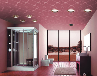 粉色卫生间吊顶设计
