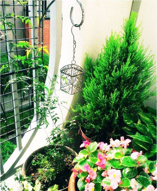 舒适阳台小花园设计
