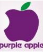 陕西紫苹果装饰