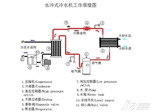 速度之星手机版238版本