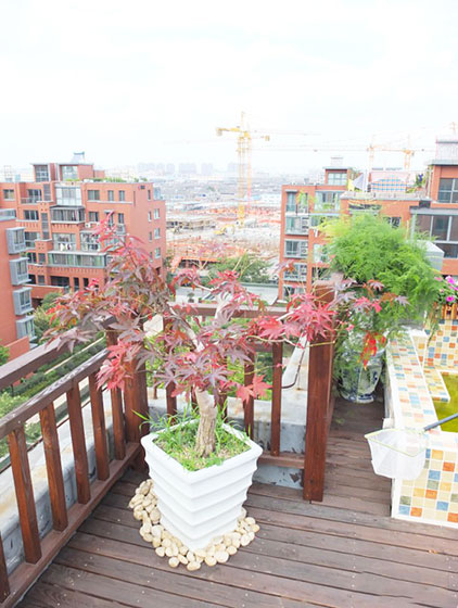 花园,屋顶花园,舒适