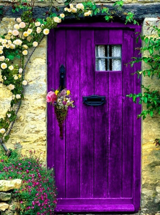 紫色木门效果图片