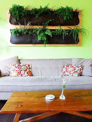 清新绿植装扮沙发背景墙