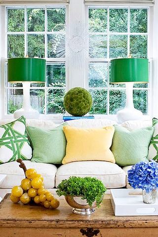 绿色客厅绿植布置
