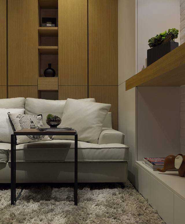 现代简约风格二居室50平米设计图