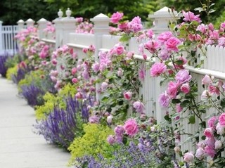 花栅栏选购