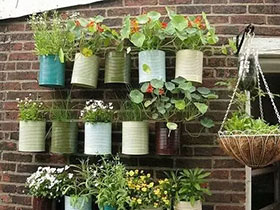 11个DIY绿植盆栽 迷你花园造出来