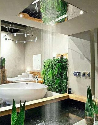 创意绿植挤进卫浴间