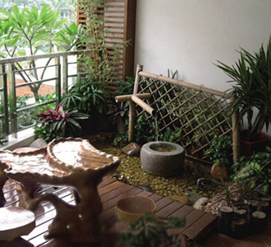 ,室内植物,花园,封闭阳台