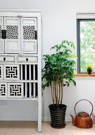 客厅绿植盆栽装饰图片