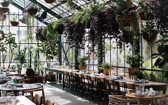 玻璃花房里的餐厅看一眼你就被俘虏了