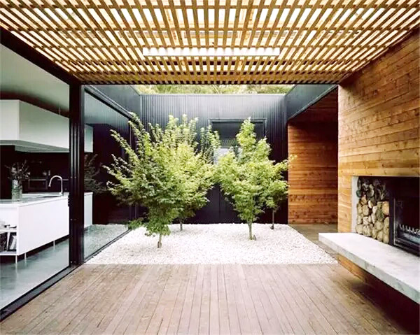,庭院,绿色,室内植物