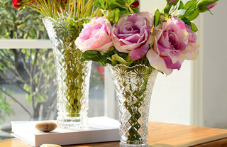 玻璃花瓶有裂痕怎么办 玻璃花瓶价格 玻璃花瓶如何搭配 玻璃花瓶种类 齐家网手机版