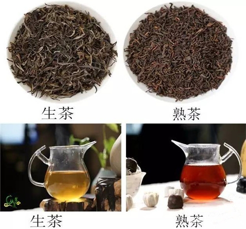 普洱熟茶跟生茶图片